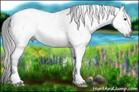 Horse Color:Gray Black Tobiano 