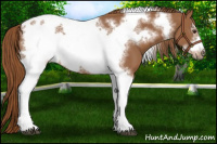 Horse Color:Chestnut Tobiano Frame 