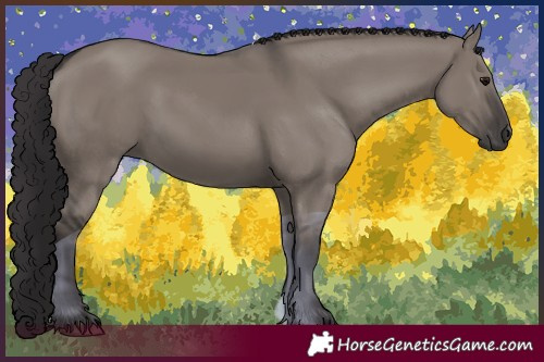 Horse Color:Smoky Grullo 