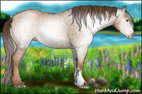 Horse Color:Gray Liver Chestnut Pearl 