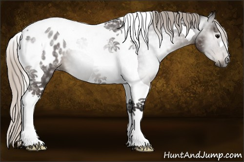 Horse Color:Gray Silver Black Tobiano Blanket 