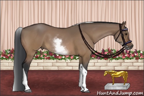 Horse Color:White Spotted Bay Dun Tobiano 