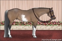 Horse Color:White Spotted Bay Dun Tobiano 