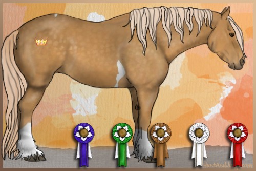 Horse Color:Palomino Tobiano 