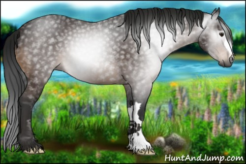 Horse Color:Gray Brown