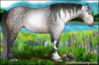 Horse Color:Gray Brown 