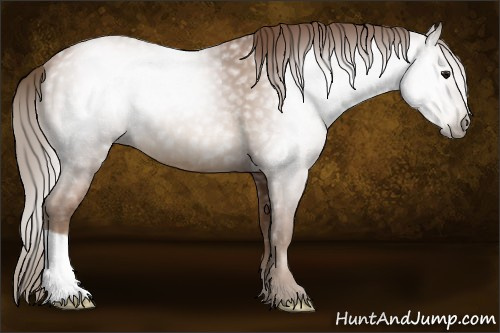 Horse Color:Gray Black Pearl