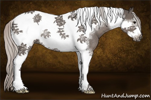 Horse Color:Silver Black Tobiano Frame Rabicano 