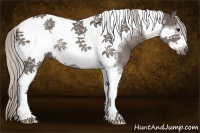 Horse Color:Silver Black Tobiano Frame Rabicano 