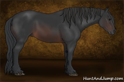 Horse Color:Brown 