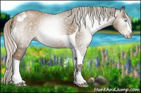 Horse Color:Gray Silver Buckskin Pearl Tobiano 