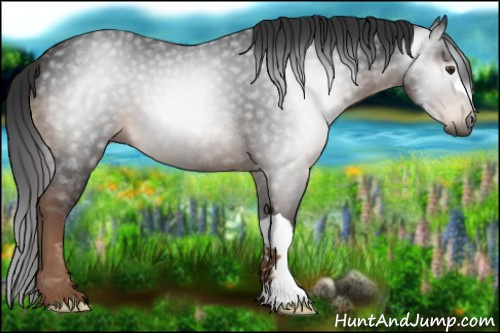 Horse Color:Gray Liver Chestnut 