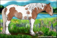 Horse Color:Silver Bay Tobiano Rabicano