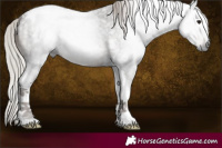 Horse Color:Gray Silver Blue Roan Tobiano