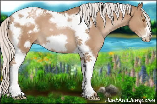 Horse Color:Silver Black Pearl Tobiano Frame 