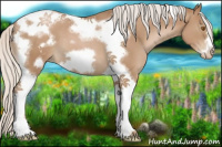 Horse Color:Silver Black Pearl Tobiano Frame 