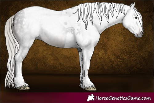 Horse Color:Gray Silver Black Tobiano 