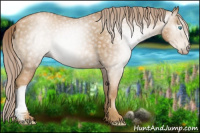 Horse Color:Gray Palomino Pearl 