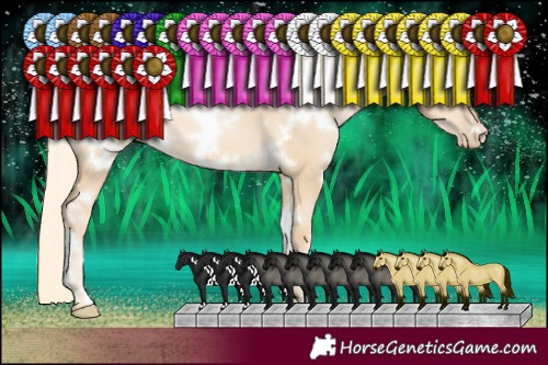 Horse Color:White Spotted Palomino Pearl Dun 