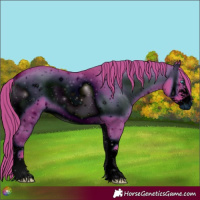 Horse Color:ERROR: UNKNOWN ANOMALY
