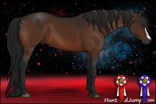 Horse Color:Gray Brown