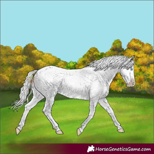 Horse Color:Silver Smoky Creme Appaloosa Rabicano 