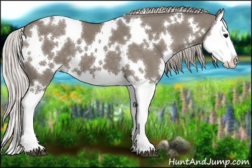 Horse Color:White Spotted Silver Grullo Splash 