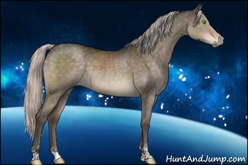 Horse Color:Silver Brown Dun Sabino