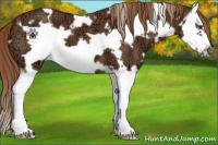 Horse Color:White Spotted Chestnut Ice Splash Frame 