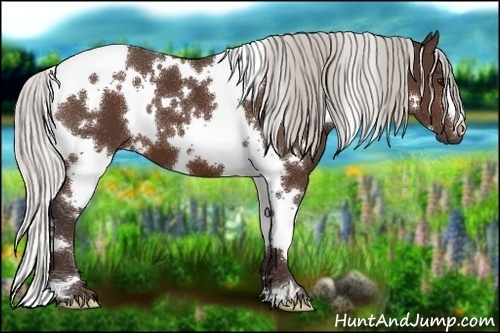 Horse Color:White Spotted Silver Brown