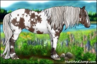 Horse Color:White Spotted Silver Brown