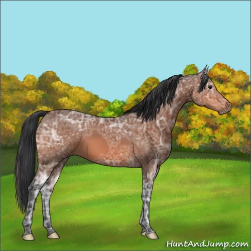Horse Color:Void Bay Ice 