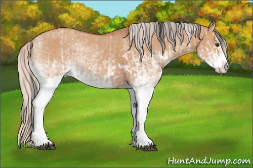 Horse Color:White Spotted Bay Dun Splash  and White Spotted Silver Bay Dun Splash 