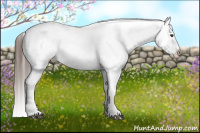 Horse Color:White Spotted Liver Chestnut Tobiano Appaloosa