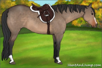 Horse Color:Bay Dun Sabino
