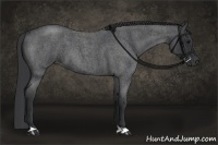 Horse Color:Blue Roan 