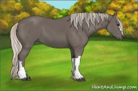 Horse Color:Silver Black 