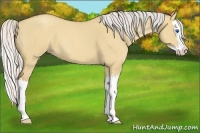 Horse Color:Silver Classic Champagne Roan Dun Splash 
