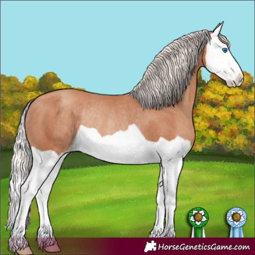Horse Color:Silver Classic Champagne Splash Rabicano 