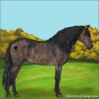 Horse Color:Brown Dun Brindle 