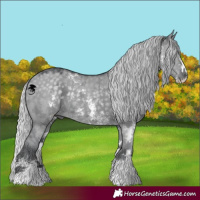 Horse Color:Silver Grullo Chinchilla Sabino 