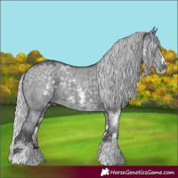 Horse Color:Silver Grullo Chinchilla Sabino