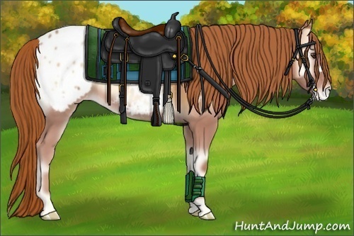 Horse Color:Red Onyx Appaloosa 