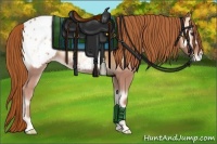 Horse Color:Red Onyx Appaloosa