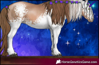Horse Color:White Spotted Liver Chestnut Pearl 