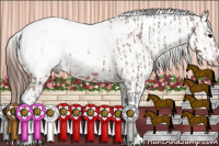 Horse Color:White Spotted Bay Appaloosa  and White Spotted Bay Appaloosa 