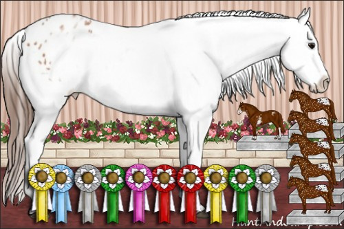 Horse Color:White Spotted Bay Snowflake Varnish