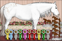 Horse Color:White Spotted Bay Snowflake Varnish