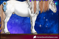 Horse Color:White Spotted Classic Champagne Pearl Dun Rabicano
