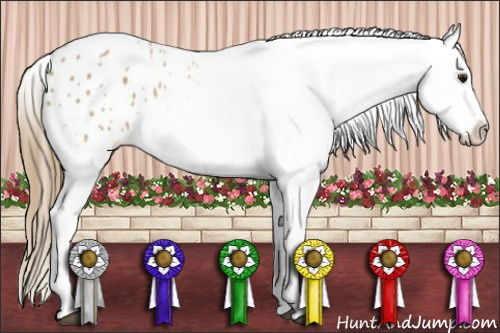 Horse Color:White Spotted Buckskin Appaloosa 